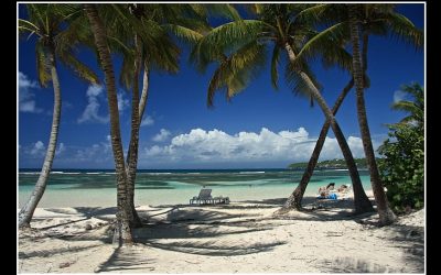 Les matchs du 9 juin